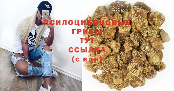 спиды Кукмор