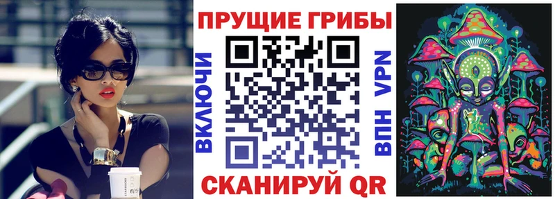 где продают наркотики  Рославль  сайты даркнета состав  Псилоцибиновые грибы ЛСД 