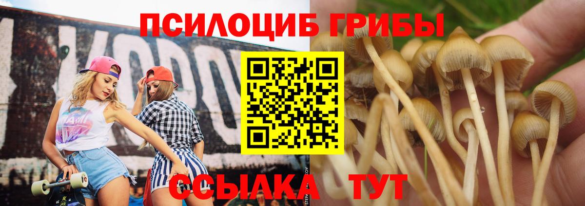 Галлюциногенные грибы Magic Shrooms Рославль