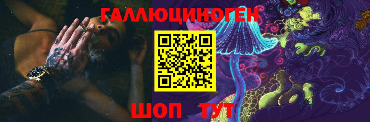 Псилоцибиновые грибы Cubensis  Вход с VPN  Рославль 